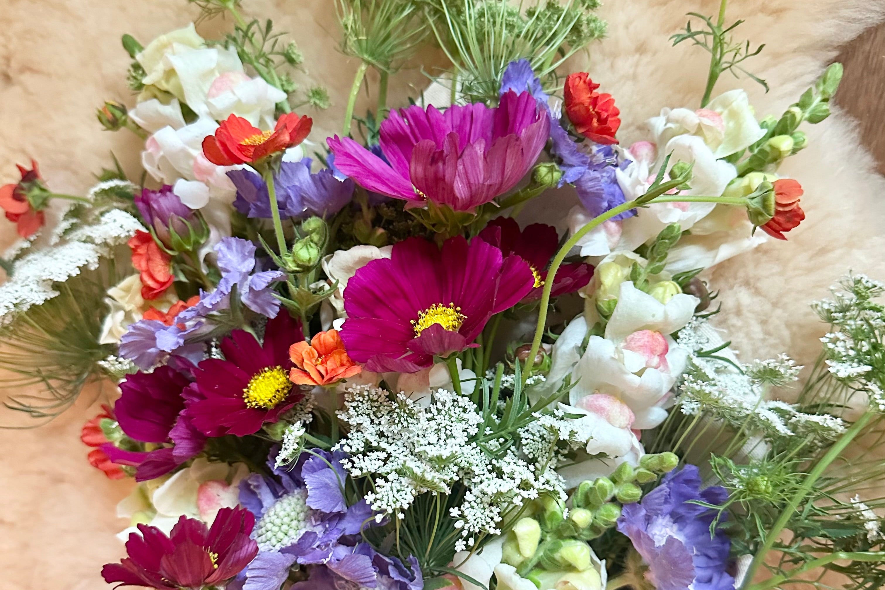 The Piedmont – Harvey's Flower Co.